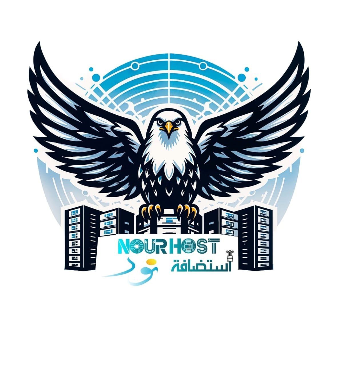 تطور هوية نور هوست نحو البنية التحتية والاستضافة